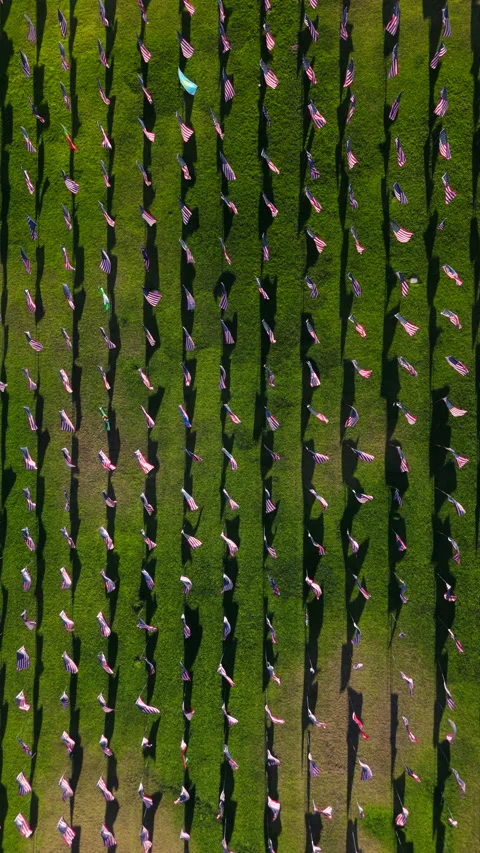 An Aerial View Capturing Rows of FlagWaving Participants Gathered in a Lush Vídeos de archivo 318072207