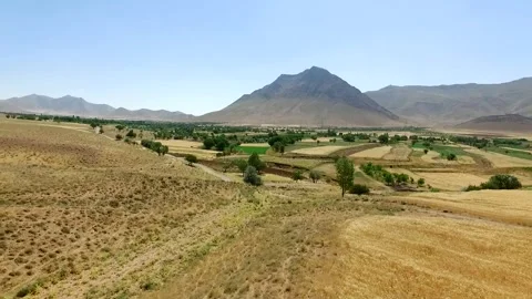 Aerial view capturing the vast landscape of golden wheat, stock footage. Stock Footage 304934868
