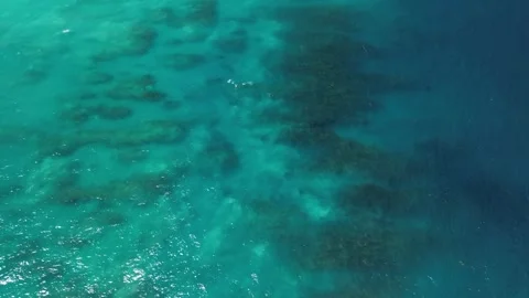 Aerial view capturing the vibrant colors of the Great Barrier Reef landscape 스톡 동영상 273174004