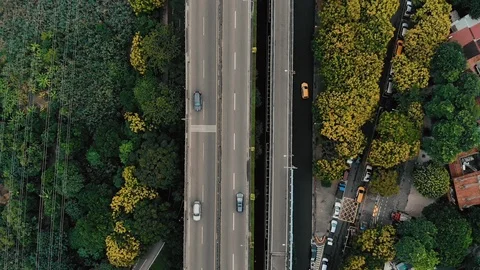 Aerial view of a car bridge between 2 gardens Stock Footage 103293384