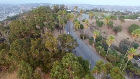 Aerial View Car Drives Down a Road in a Forest Park Stock Footage 116522503