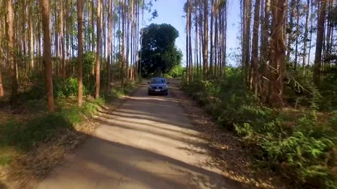 Aerial view of car driving down treelined dirt road Stock Footage 146953134