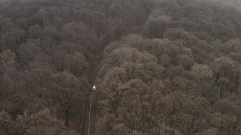 Aerial view of a car driving an empty road trough a colorful autumn forest, m Stock Footage 145749724