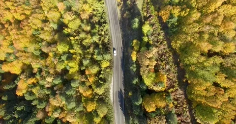 Aerial view of a car driving on an empty road in the middle of colorful trees. 库存影片 201595624