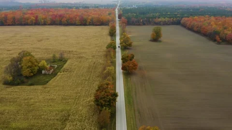 Aerial View Car Driving on Long Straight Road in Fall. Autumn Landscape. Stock Footage
