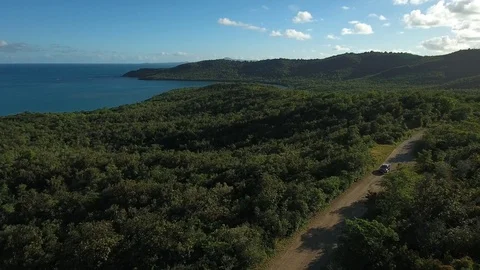 Aerial view of a car driving through lush green landscape, Martinique Stock Footage 82655825