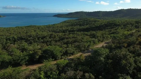Aerial view of a car driving through lush green landscape, Martinique Stock Footage 82655829
