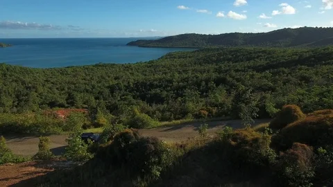 Aerial view of a car driving through lush green landscape, Martinique Stock-Footage 82655830