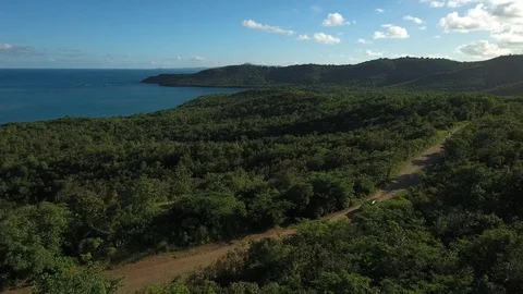 Aerial view of a car driving through lush green landscape, Martinique Stock Footage 82655840