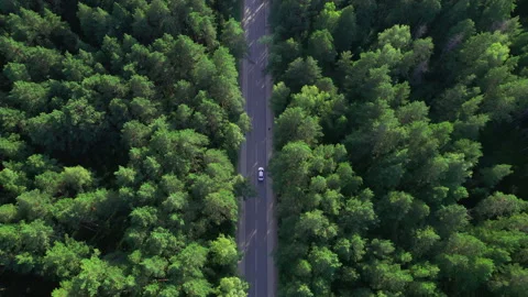 Aerial view of a car driving through the forest. Highway between trees Stock Footage 201690567