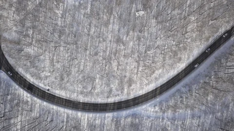 Aerial view of car driving through winter forest Stock Footage 219345803
