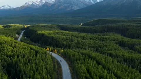 Aerial view of car driving through the forest in national park.  Stock Footage 224239011