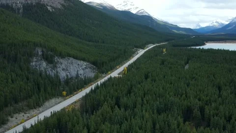 Aerial view of car driving through the forest in national park.  Stock Footage 224241267