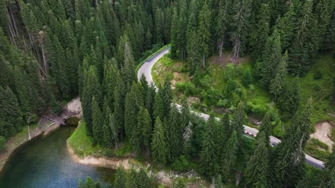 Aerial view of car driving through the forest and the lake on the side. Video stock 248046828