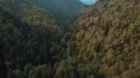 Aerial view of a car driving through dense forestry in the mountains in autumn Stock Footage 284763448