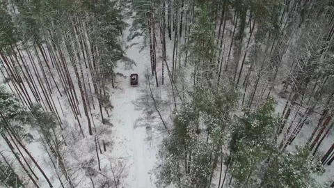 Aerial view of a car driving through a snowy forest road surrounded by tall tree 動画素材 289045071