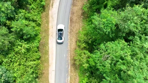 Aerial View of a Car Driving Through Forest Road Stock Footage 313168434