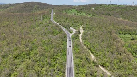 Aerial view of car driving through curvy forest road in spring Stock-Footage 313341903