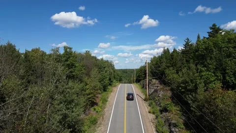 Aerial View of a Car Driving Through Forest Under Clouds Stock-Footage 338325477
