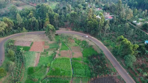 Aerial View of Car Driving Through Farmland and Forest in Embu, Kenya Stock Footage 345161199