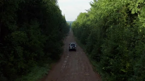 Aerial view of a car in the forest Stock Footage 186865915