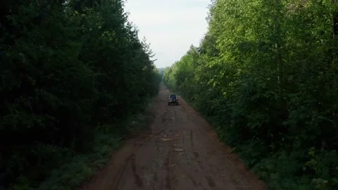 Aerial view of a car in the forest Stock Footage 186869636