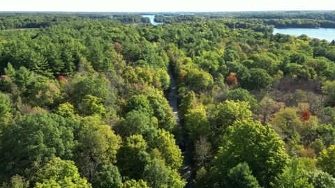 Aerial View of a Car on a Forest Road With a Lake Beyond Vídeos de archivo 338324830