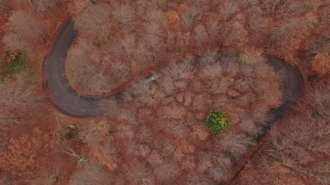 Aerial view of a car navigating a winding road, surrounded by vibrant fall Video stock 330770723