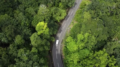 Aerial view of car passing through forest Stock Footage 234590743