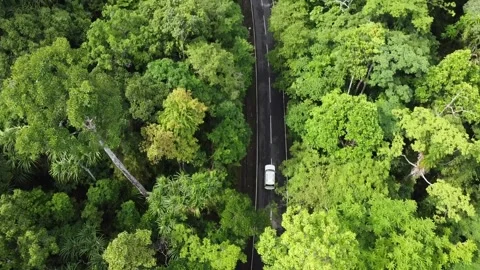 Aerial view of car passing through deep forest roads Stock Footage 234591258