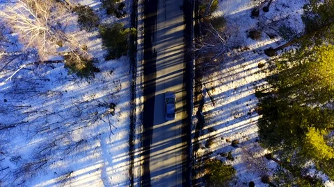 Aerial view of the car that rides on a forest road among the trees. Stock Footage 107670757