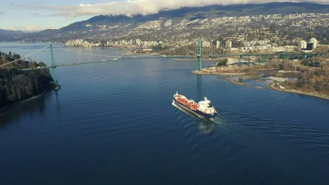 Aerial view of cargo ship sailing underneath a suspended bridge Stock Footage 103732256