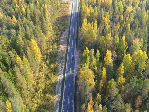 Aerial view of cars on highway at nature. Stock Footage