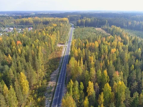 Aerial view of cars on highway at nature. Stock Footage