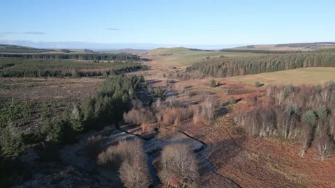 Drone Scotland Forest Stock Footage ~ Royalty Free Stock Videos | Page 5