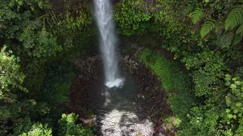 Aerial View of Cascada Hola Vida Waterfall in Ecuador Stock Footage 336795374