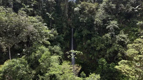 Aerial View of Cascada Hola Vida Waterfall in Ecuador Vidéo 336795376
