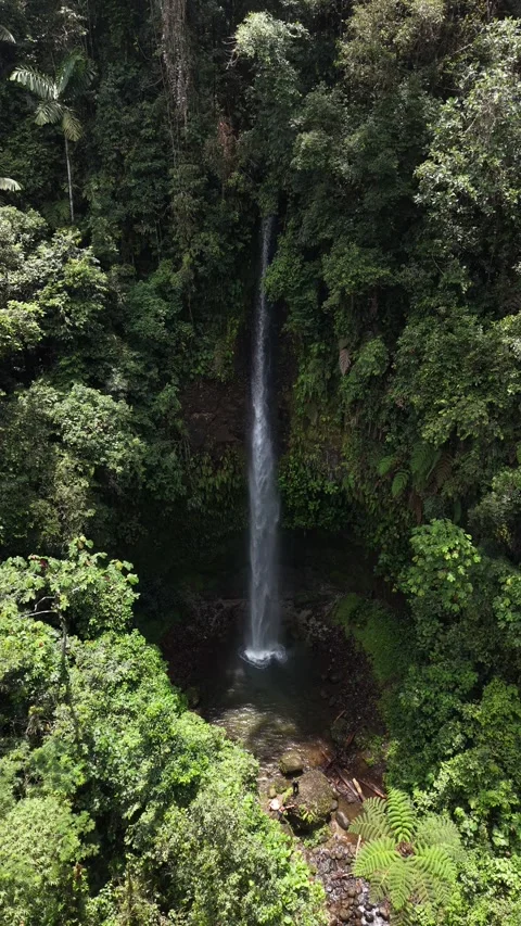 Aerial View of Cascada Hola Vida Waterfall in Ecuador Vidéo 336795381