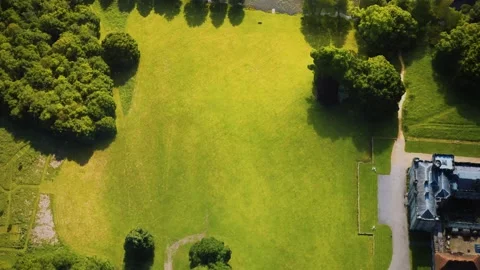 Aerial view of the castle surrounded by meadows and forests Vidéo 143413015