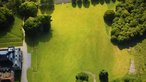Aerial view of the castle surrounded by meadows and forests Vídeo Stock 145184103