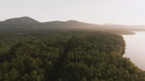 Aerial view of The Catskill Mountains on a summer day 動画素材 343187233