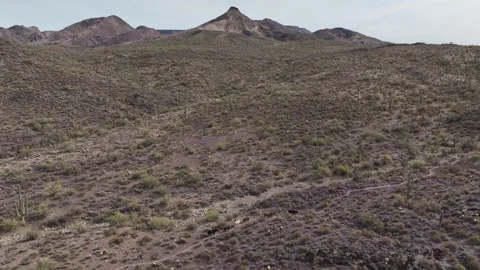 Aerial view of cattle grazing in desert landscape, United States. Video stock 312841225