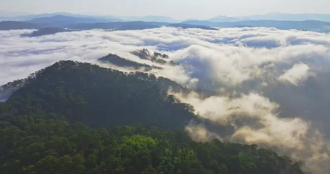 Aerial view of the Cau Dat suburbs near Da Lat city Stock Footage 311034701
