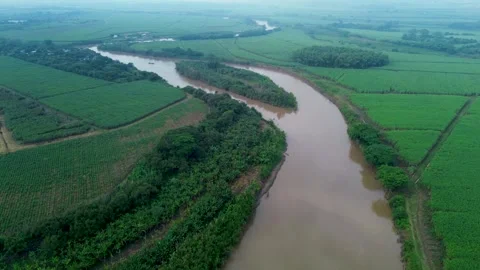 Aerial View of the Cauca River Stock Footage 310701581