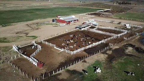 Aerial view of the Cava de Marcelo, Ojos Negros 스톡 동영상 104235779