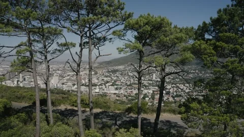 Aerial view of CBD of Cape Town, Western Cape, South Africa, with City bowl, Video stock 149229780