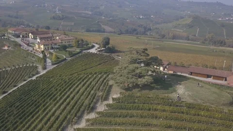 Aerial view of cedro de la Morra, Langhe, Piedmont, Italy, 4K Stock Footage 97114358