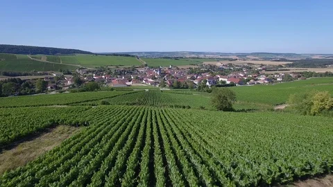 Aerial view of Celles sur Ource Video stock 87493029