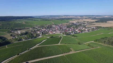 Aerial view of Celles sur Ource Video stock 87493056