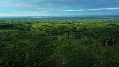 Aerial View of Central Alberta in Summer, Canada Video stock 341392071